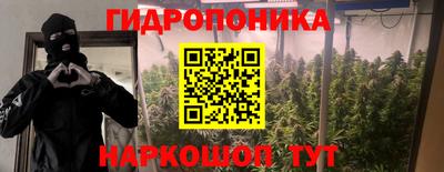 дживик Лесосибирск
